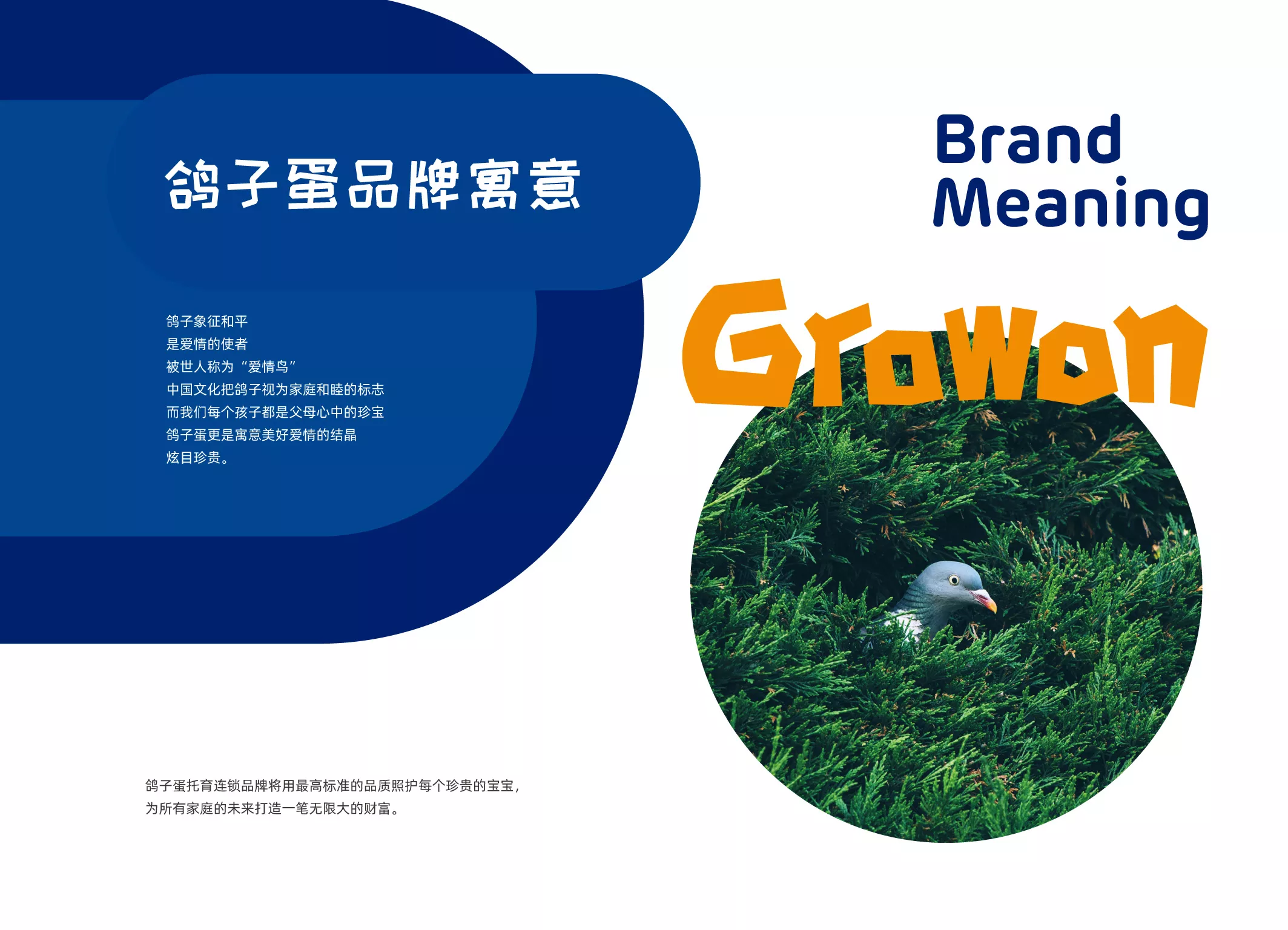 鸽子蛋品牌画册-新1-04.jpg