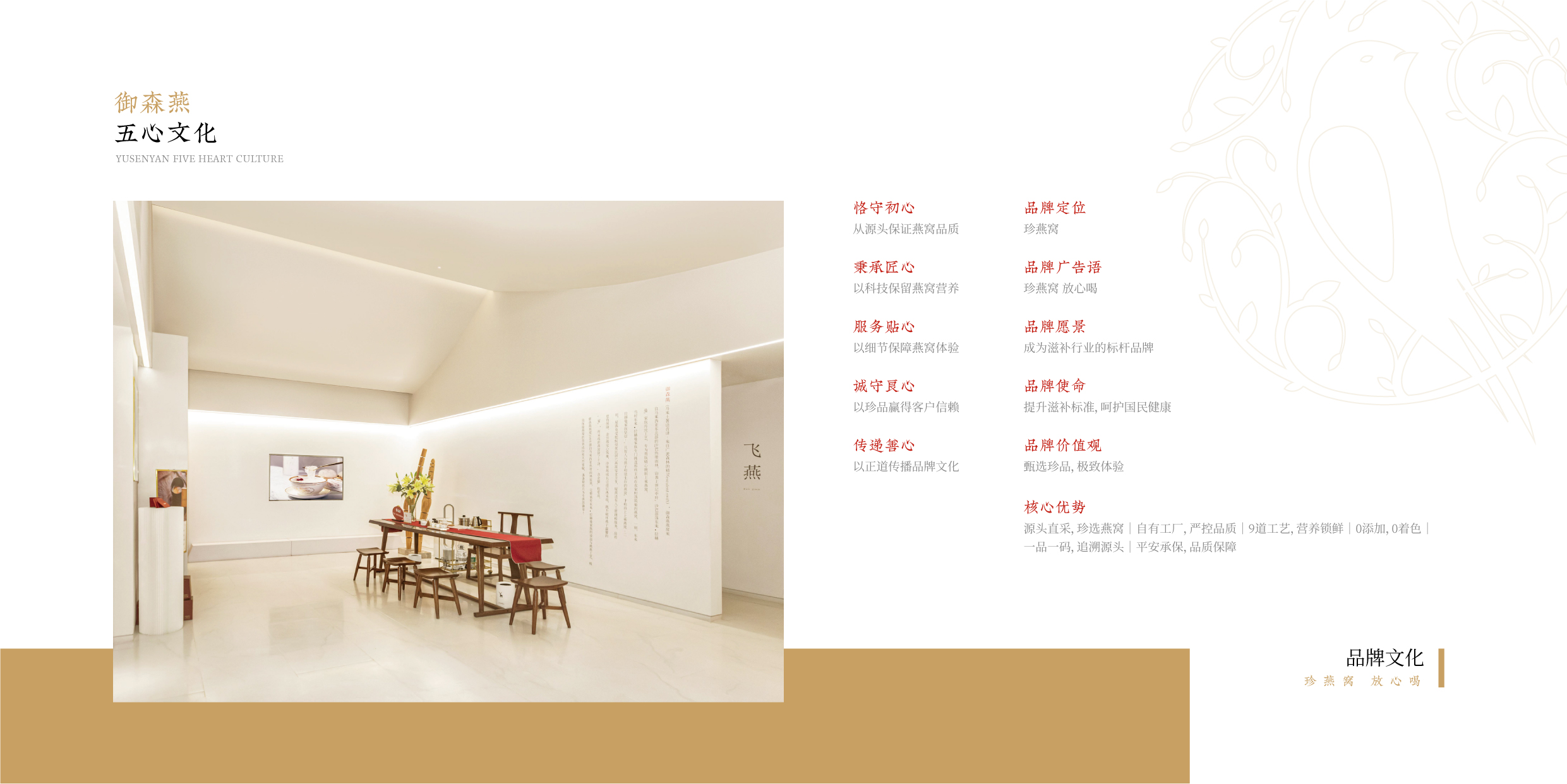 御森燕 招商手册-06.jpg